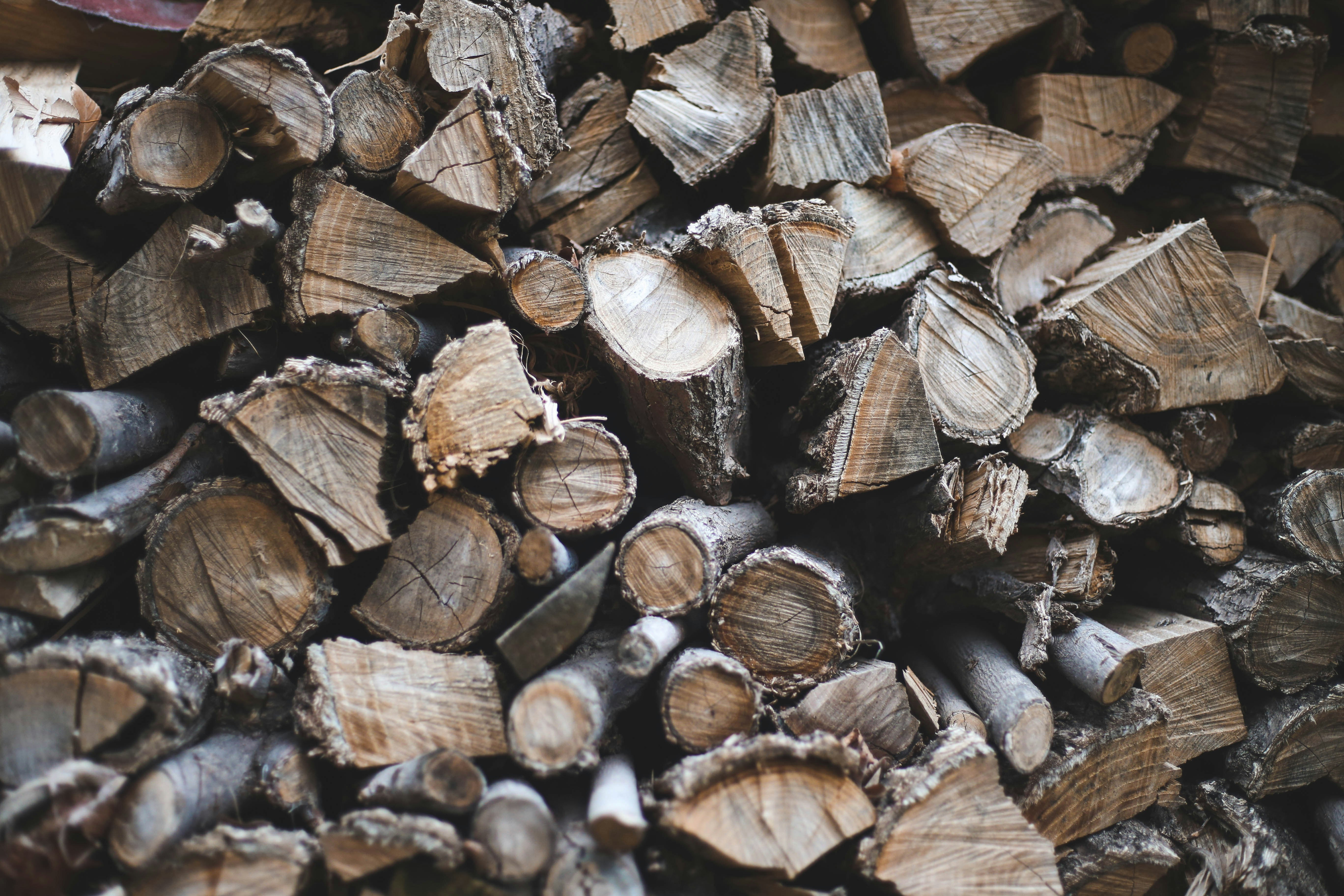 close-up photography of brown fire woods